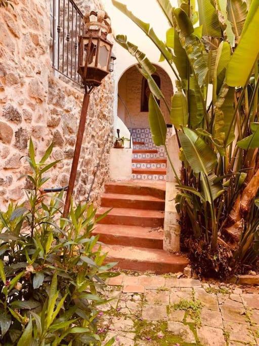 Studio Au Charme Medieval La Garde  Dış mekan fotoğraf